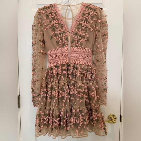 NWT Bronx and Banco Megan Rose Embroidered Mini Dress Size Small - Picture 9 of 16